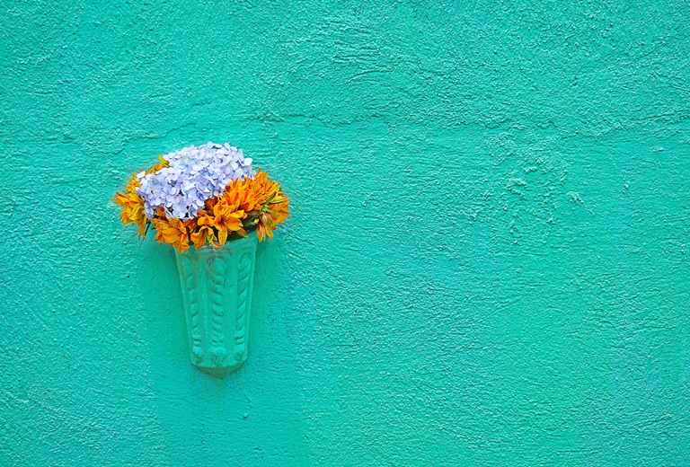 flowers in wall pot against aquamarine wall